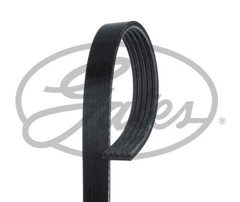 GATES Kanalli Kayis Alfa Romeo 155 164 Infiniti QX4 Nissan Patfinder