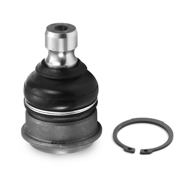 AYD Rotil Alt Sag / Sol Micra K13 10 >
