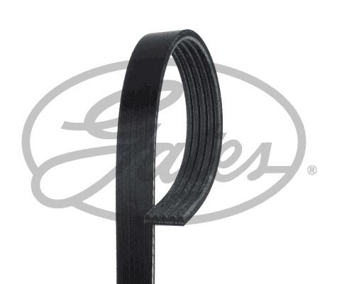 GATES Kanalli Kayis Alfa Romeo 155 164 Infiniti QX4 Nissan Patfinder