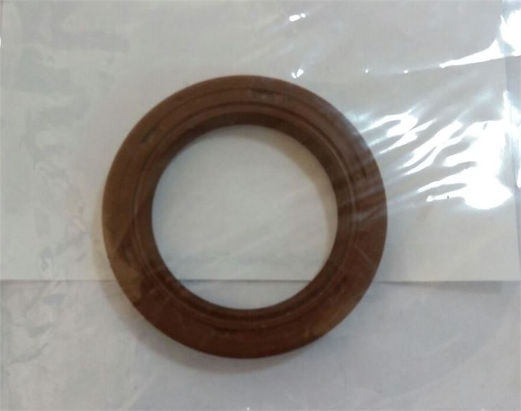 OEM URUNLERI Eksantrik Kapak Kecesi R19 Clio Megane Kangoo Twngo (30X42X7)