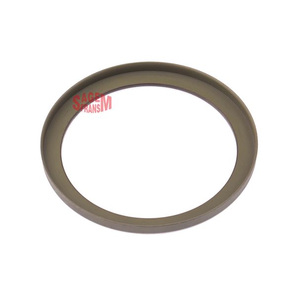 SAGEMFRANS Abs Okuyucu Halka Arka Disk Fluence Megane III