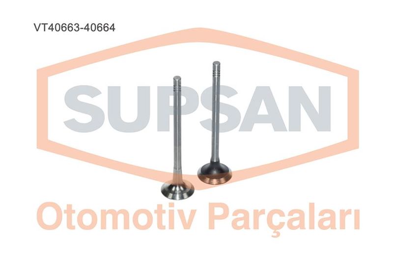 SUPSAN Kaleos Laguna 2.0 Dci 16V MR9 Takim Supap (16 Supap)